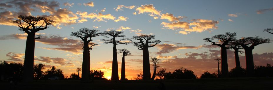 Lehren zum Klimawandel InPost 2