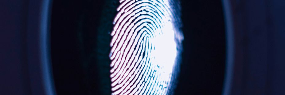 image-10.png