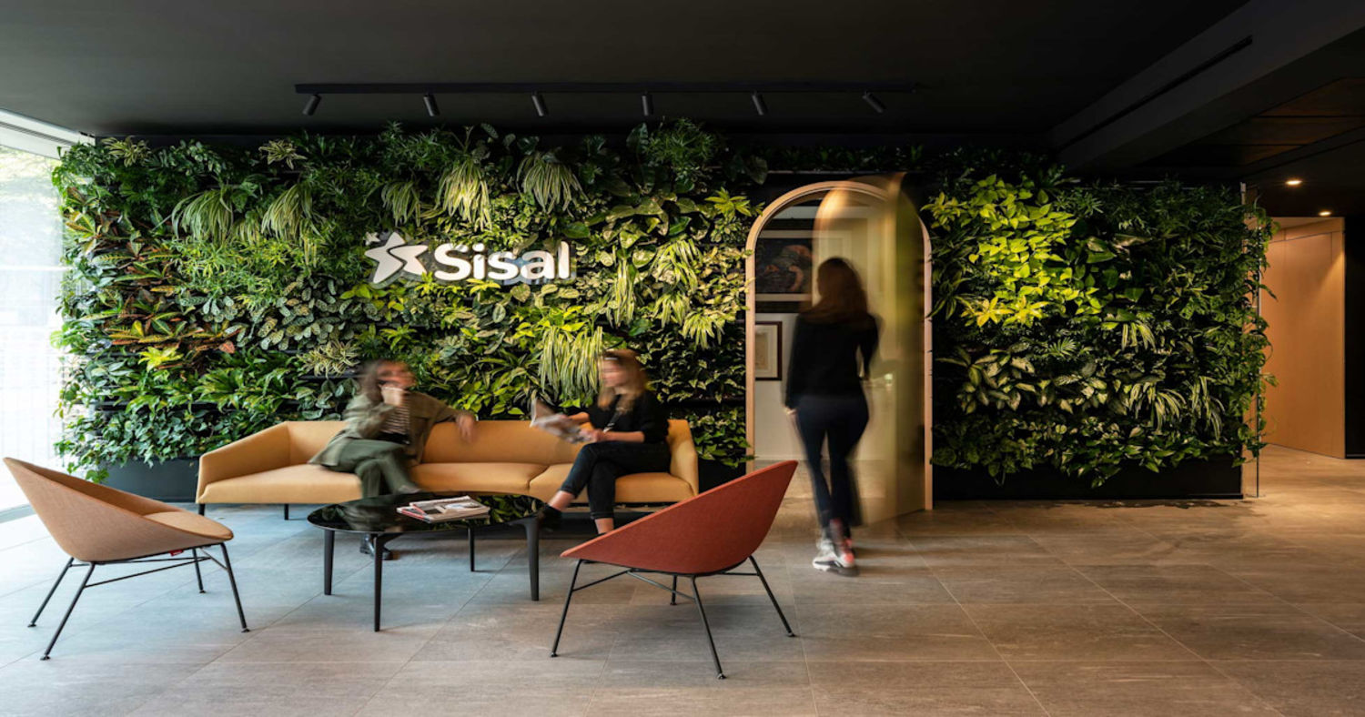 Reference Sisal 02
