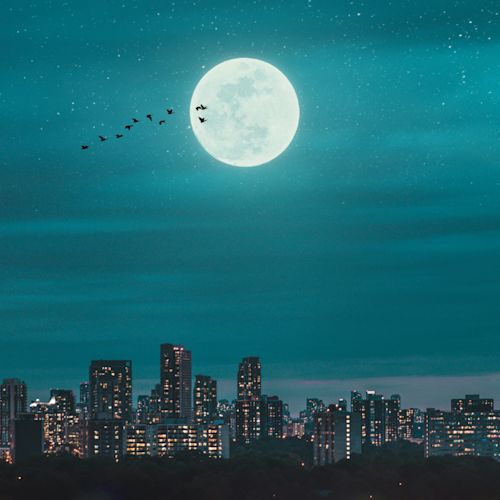 Night Shift Featured