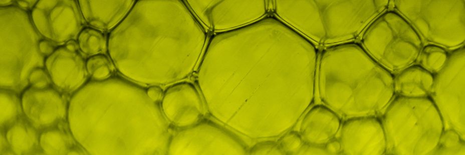 Material Innovations In Post 4