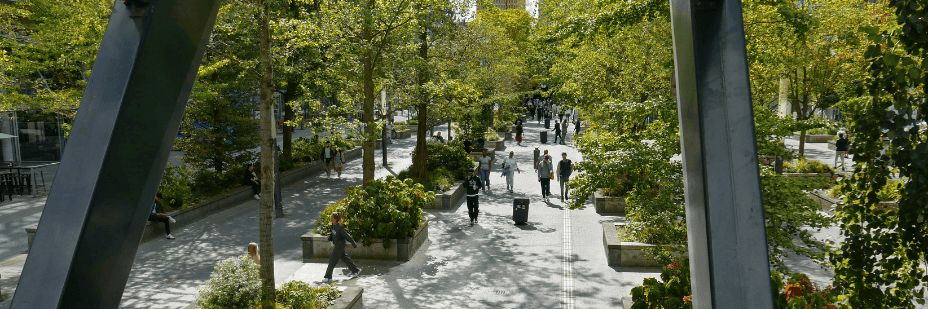 6-Ways-Urban-Oases-Can-Improve-Our-Cities-1.png