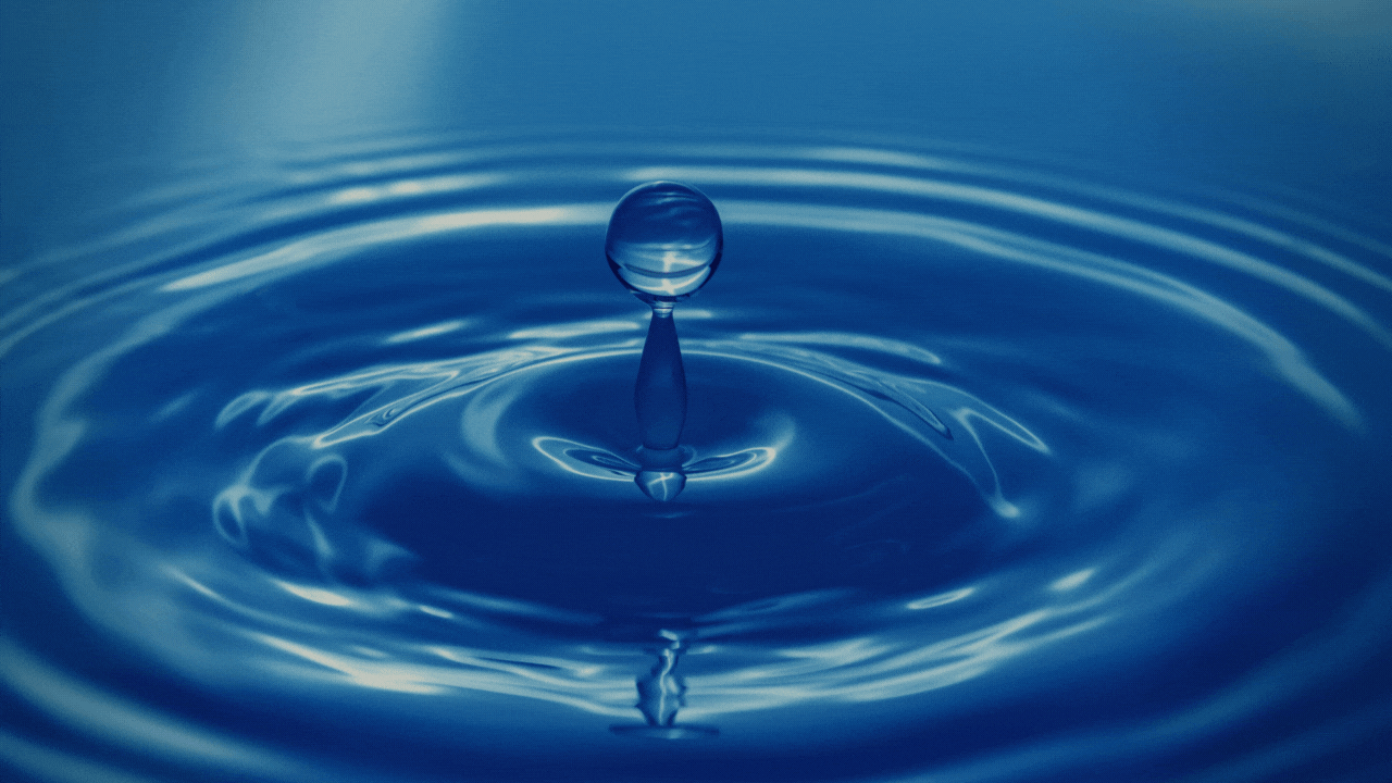 Every Drop Counts: 3 Examples of Water-Efficient Designs