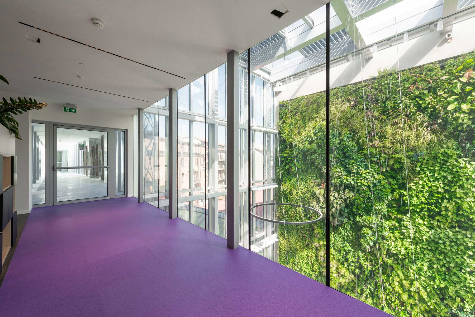 Prima-assicurazione DSC1945