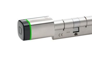 Electronic access data