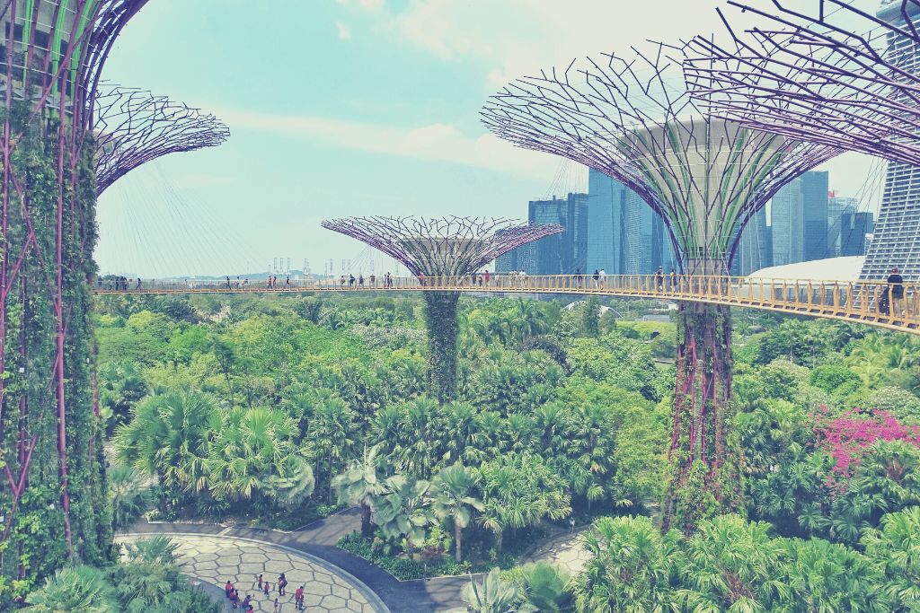 Blog_FeaturedImage_urban-rewilding-how-these-5-cities-brought-nature-back-to-the-city.png