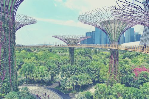 Blog_FeaturedImage_urban-rewilding-how-these-5-cities-brought-nature-back-to-the-city.png