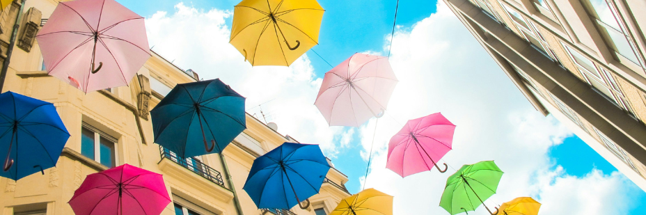 Scorching Cities: Lessons in Adapting to Extreme Heat