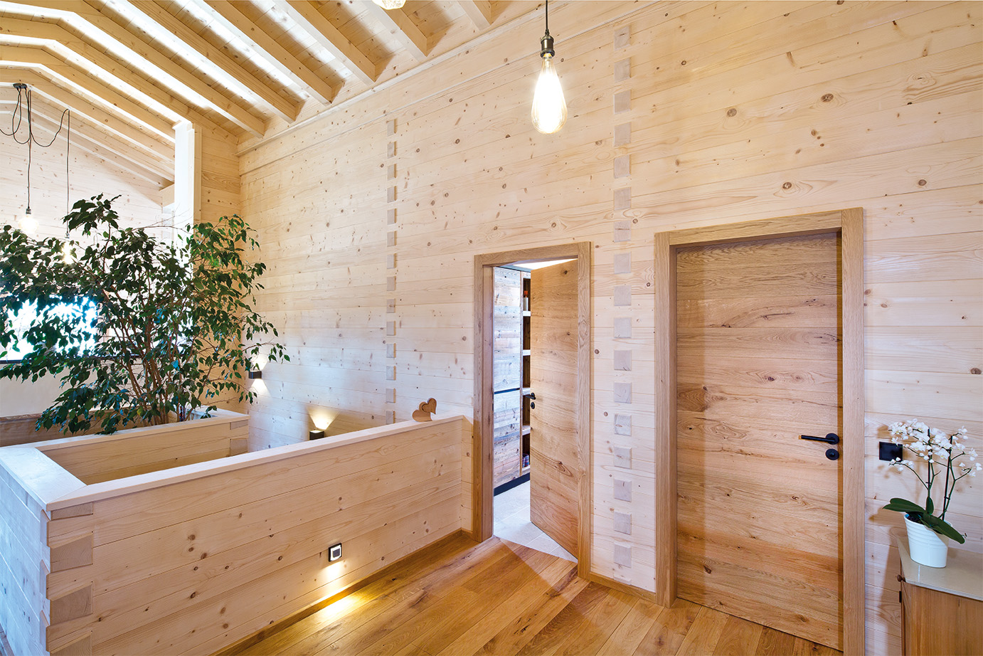 KOCH Image System Avantgarde 22