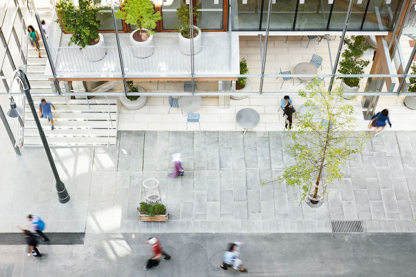 A nova arquitetura paisagística – reinvenção da vida académica com um fluxo de pessoas eficiente