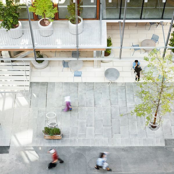 De nieuwe academische landschapsarchitectuur optimaliseert het campusleven met een efficiënte toegankelijkheid