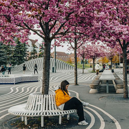 Architecture of Belonging Featured