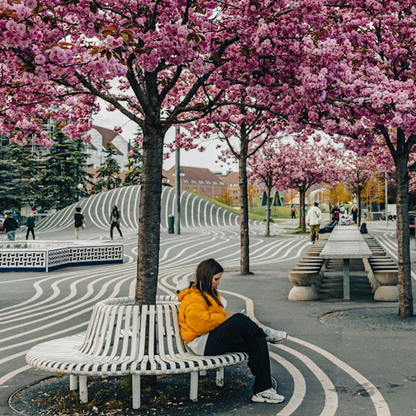 Architecture of Belonging Featured