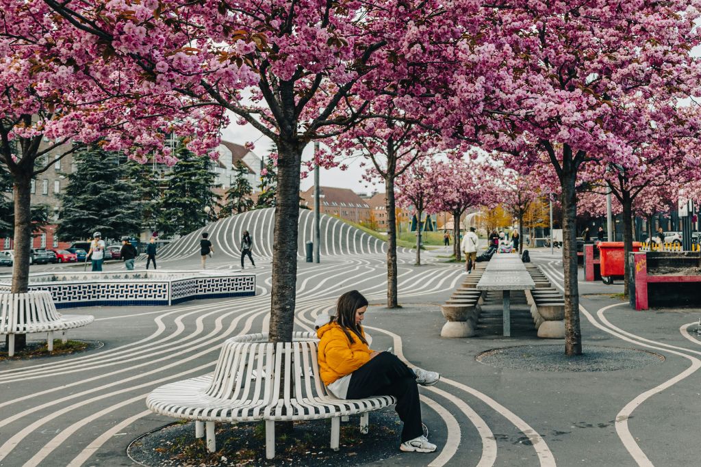 Architecture of Belonging Featured