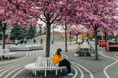 Architecture of Belonging Featured