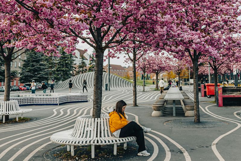 Architecture of Belonging Featured