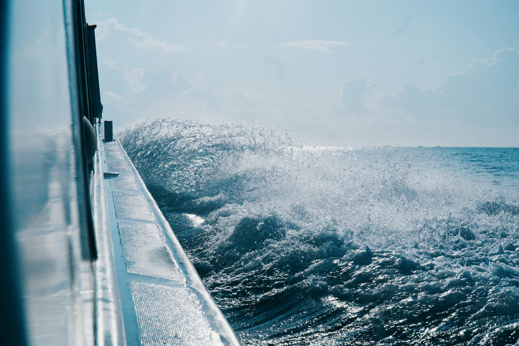 Surviving Salt and Time Featured