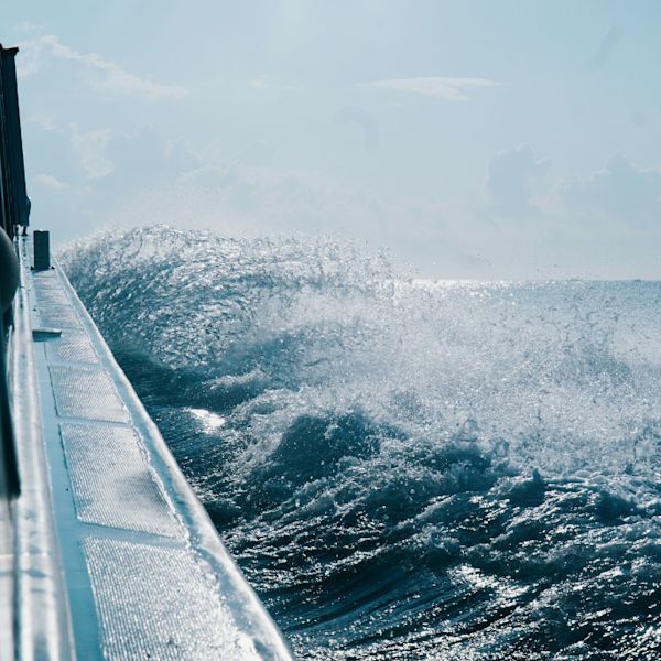 Surviving Salt and Time Featured