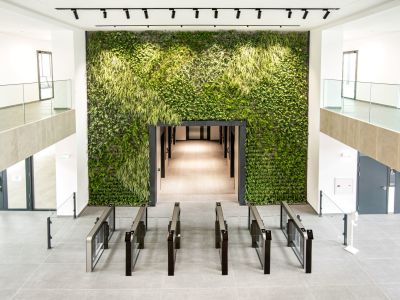 Modern entrances that add value to a sustainable workspace