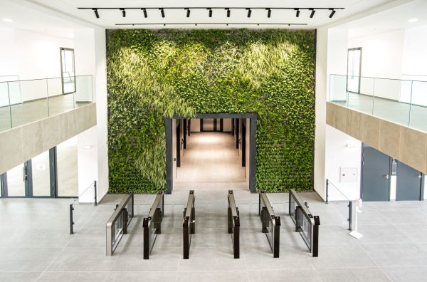 Modern entrances that add value to a sustainable workspace