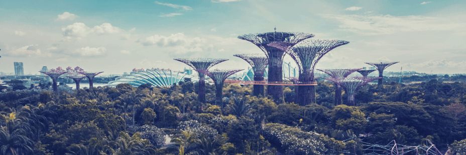 Urban-Rewilding-How-These-5-Cities-Brought-Nature-Back-to-the-City.png