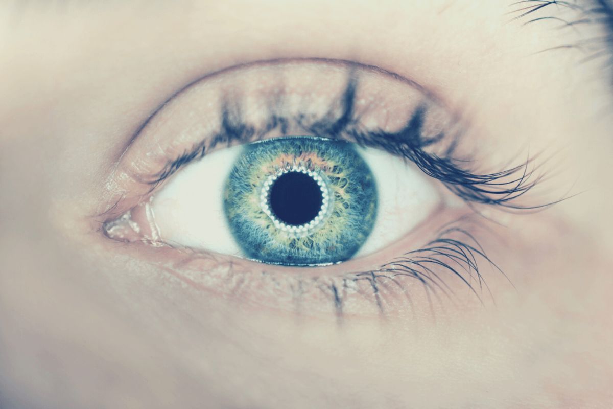 Blog_FeaturedImage_top-3-myths-about-face-recognition-dissolved.png