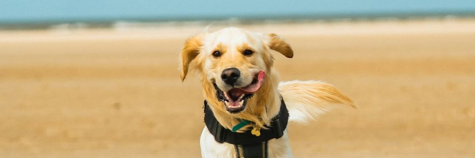 Barrierefreies Reisen InPost 3