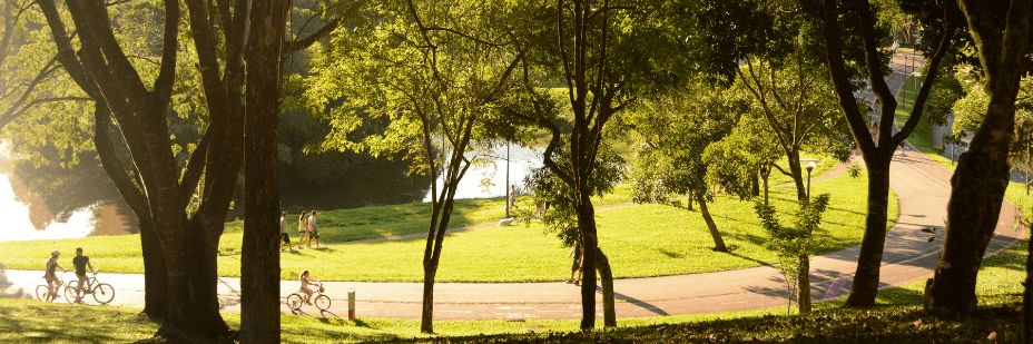 Blog_InPost-Pictures_from-wasteland-to-wonderland-green-spaces-transformation-of-curitiba-brazil_5.png