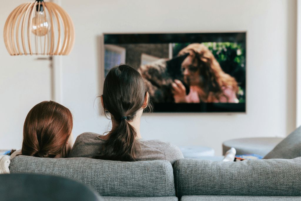 Blog_FeaturedImage_how-tv-shows-altered-our-homes.png