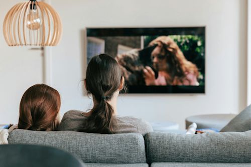 Blog_FeaturedImage_how-tv-shows-altered-our-homes.png