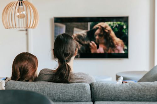 Blog_FeaturedImage_how-tv-shows-altered-our-homes.png