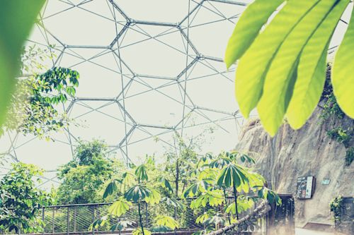 Blog_FeaturedImage_bio-architecture-5-stunning-buildings-mimicking-nature.png