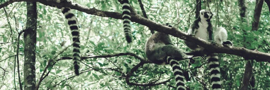 Climate Change Lessons InPost 3