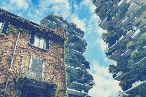 Blog_FeaturedImage_how-buildings-can-contribute-to-urban-biodiversity.png
