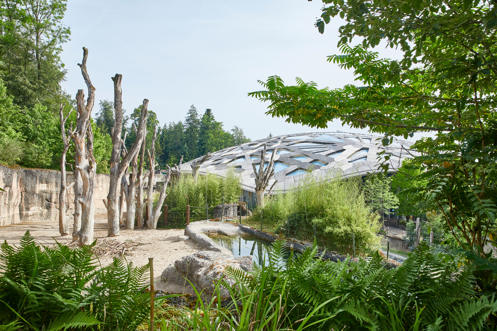 Accès pour les quadrupèdes et bipèdes