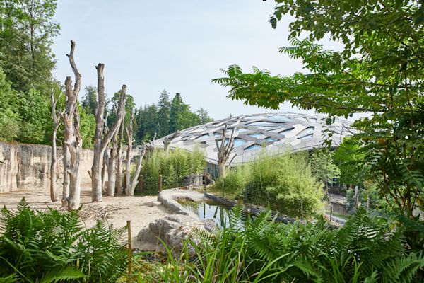 Access for four-legged and two-legged