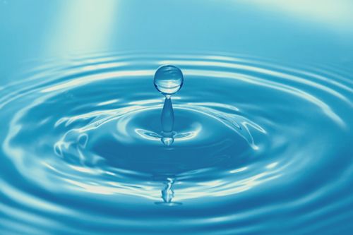 Blog_FeaturedImage_Every_Drop_Counts_3_Examples_of_Water-Efficient_Designs.png