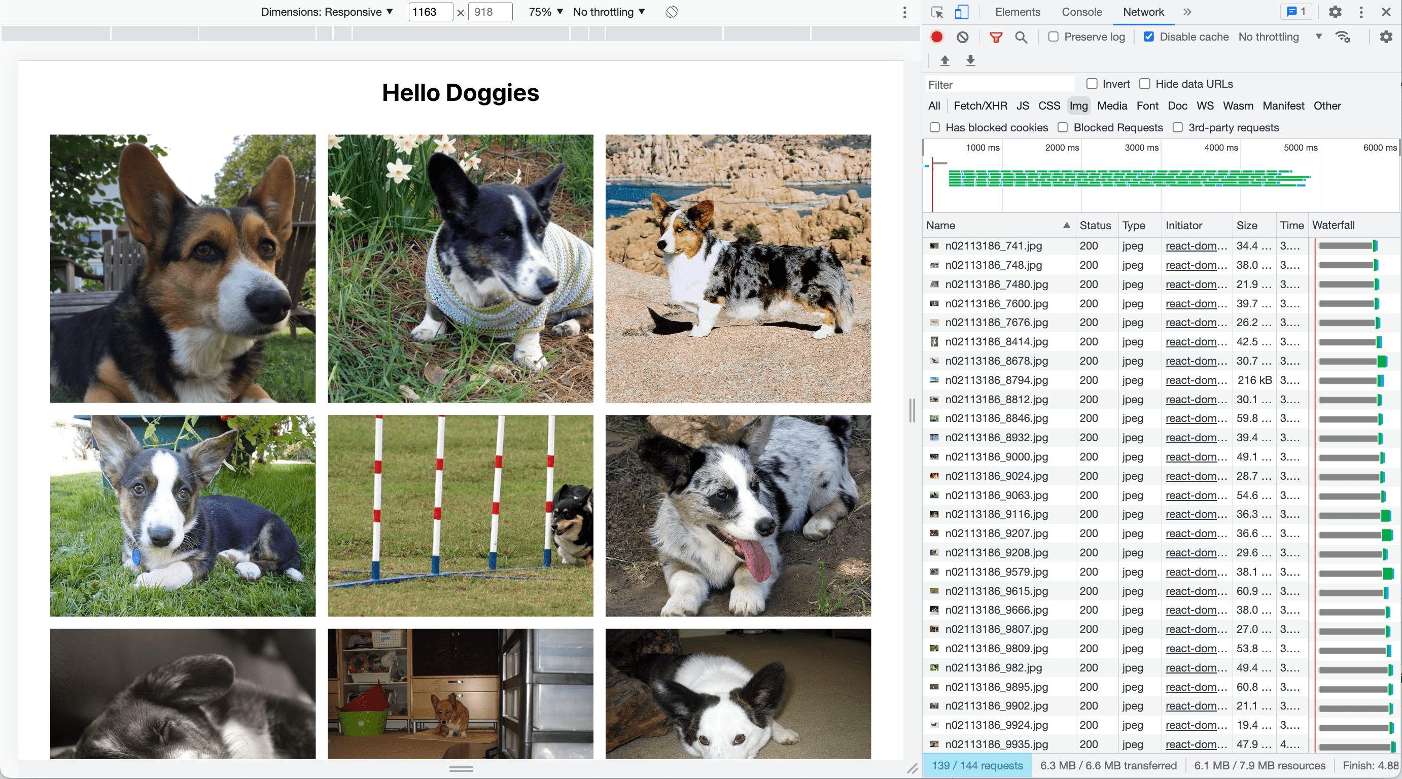 Browser with network tab open, showing that all images have loaded