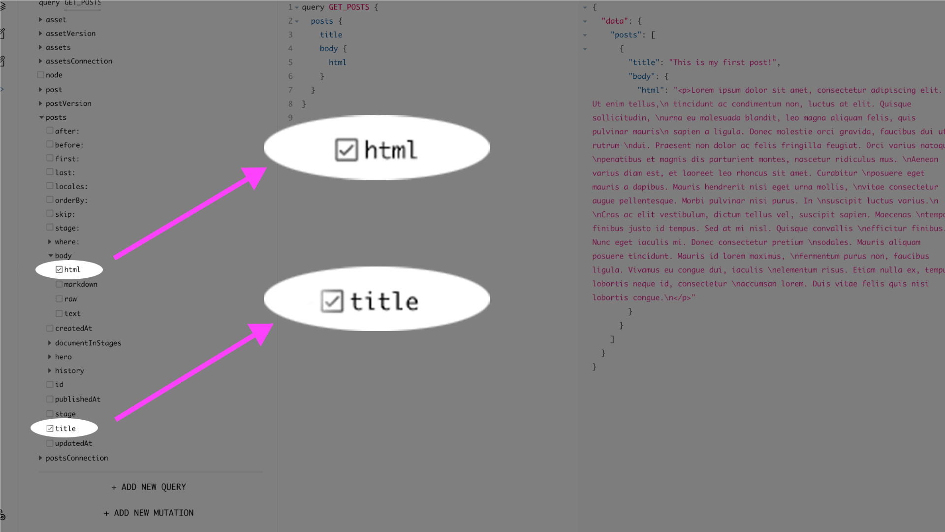 Be sure the html box and title box are checked in the post settings of the API Playground.