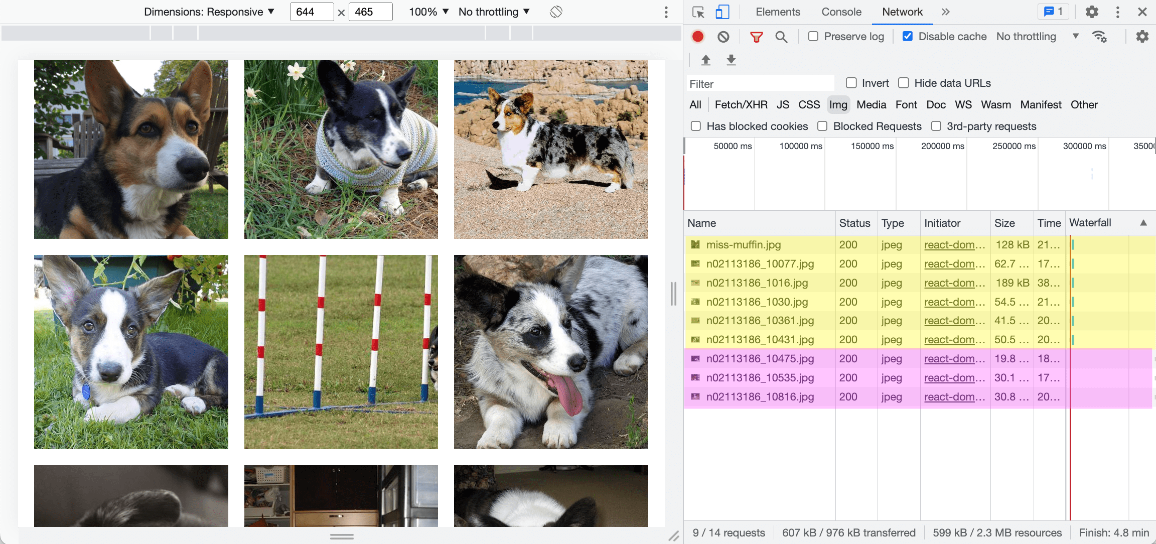 Browser with network tab open, showing 3 additional loaded images