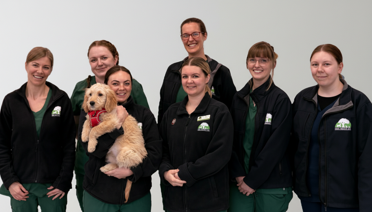 Forest Vets, Neath Team