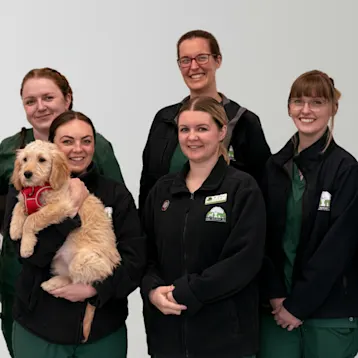 Forest Vets - Neath Team