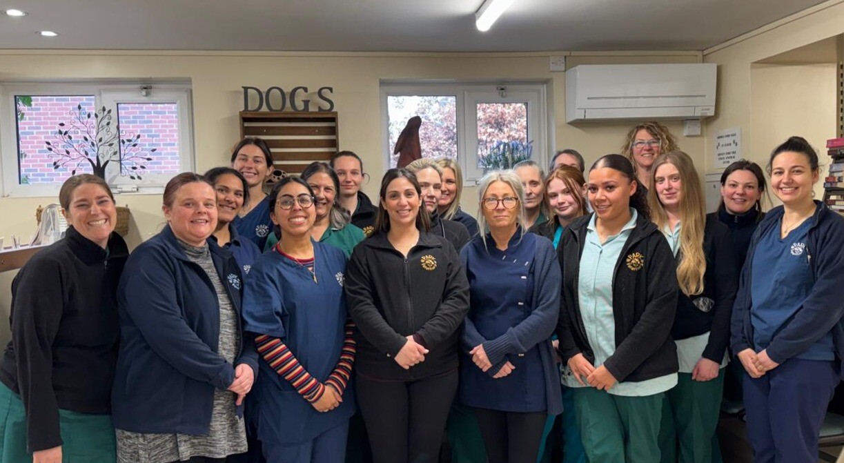 Park Veterinary Centre, Watford Team
