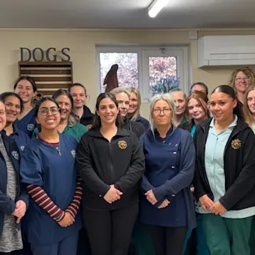 Park Veterinary Centre, Watford Team