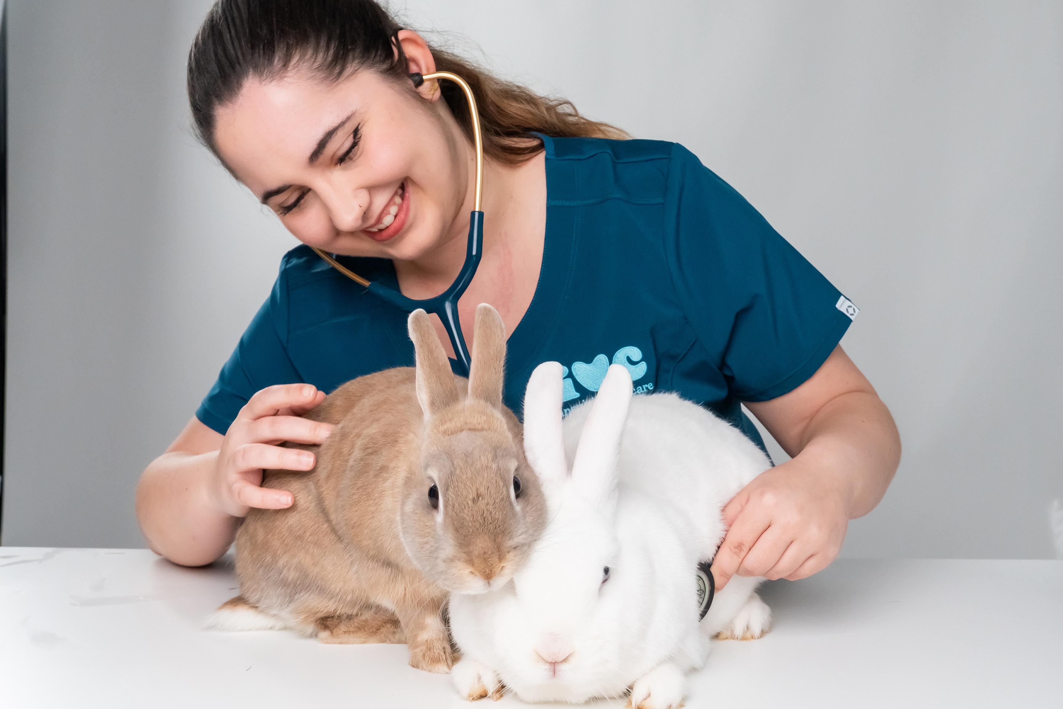 Two rabbits being examined by an IVC vet nurse