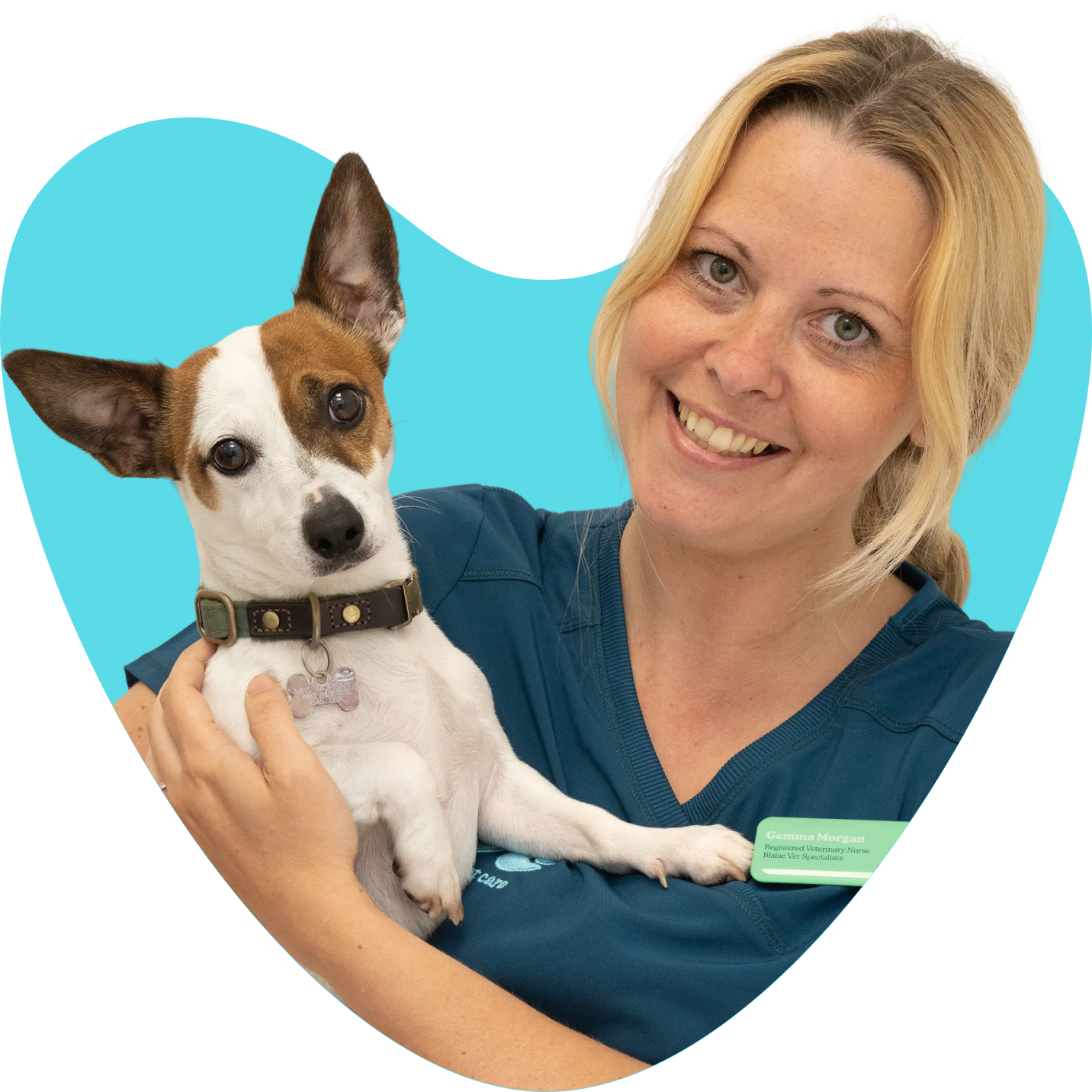 Gemma on The Joy of Pets