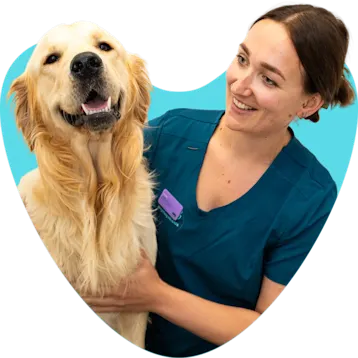Grace on The Joy of Pets