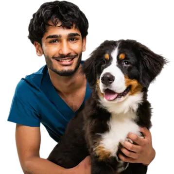 Vet with Dog - Meet the team page hero image