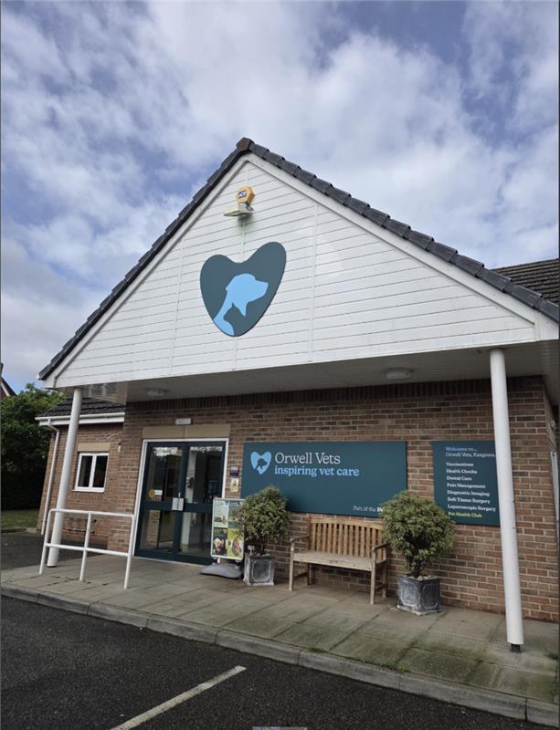 Orwell Veterinary Group, Grange Farm Vet Hospital, Kesgrave Team