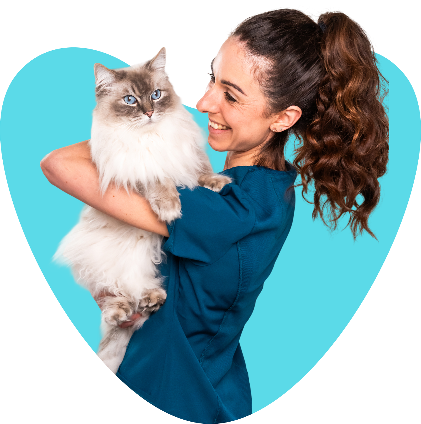 Vet holding a cat